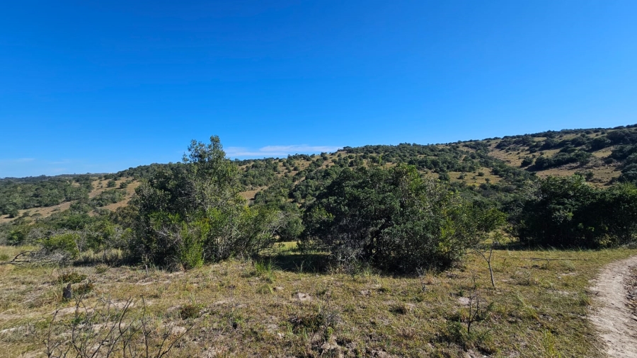 Commercial Property for Sale in Komga Rural Eastern Cape